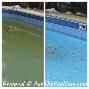 FerriTab Use in Pools Before and After
