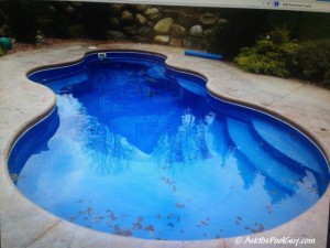 Fiberglass pool and Safety Cover (1)