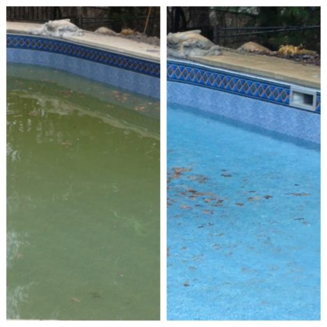 Tips for Cleaning Pool Stains: Copper, Iron, Purple and Leaves – Ask ...