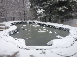 SNOW COVERED POOL