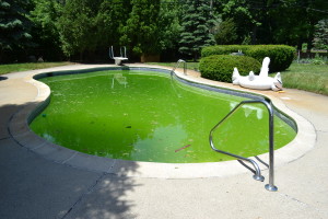 Algae Pool
