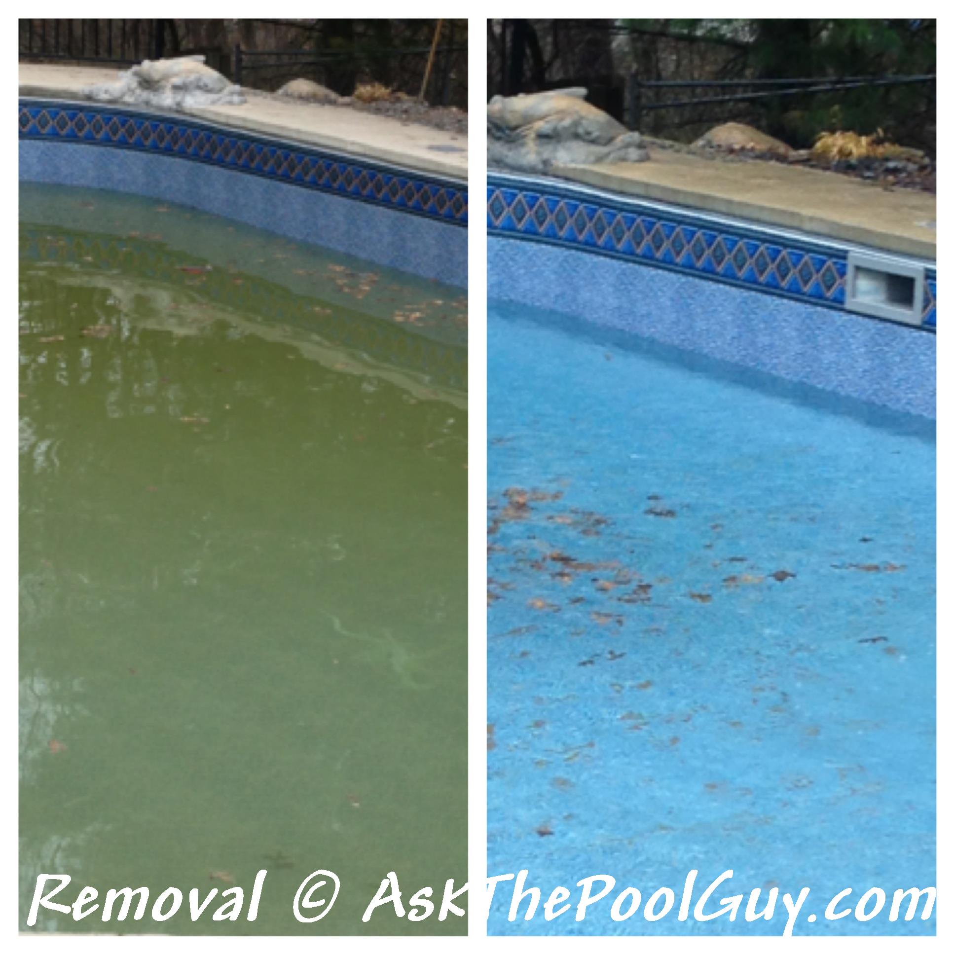How to Get Sediment Out of Pool 