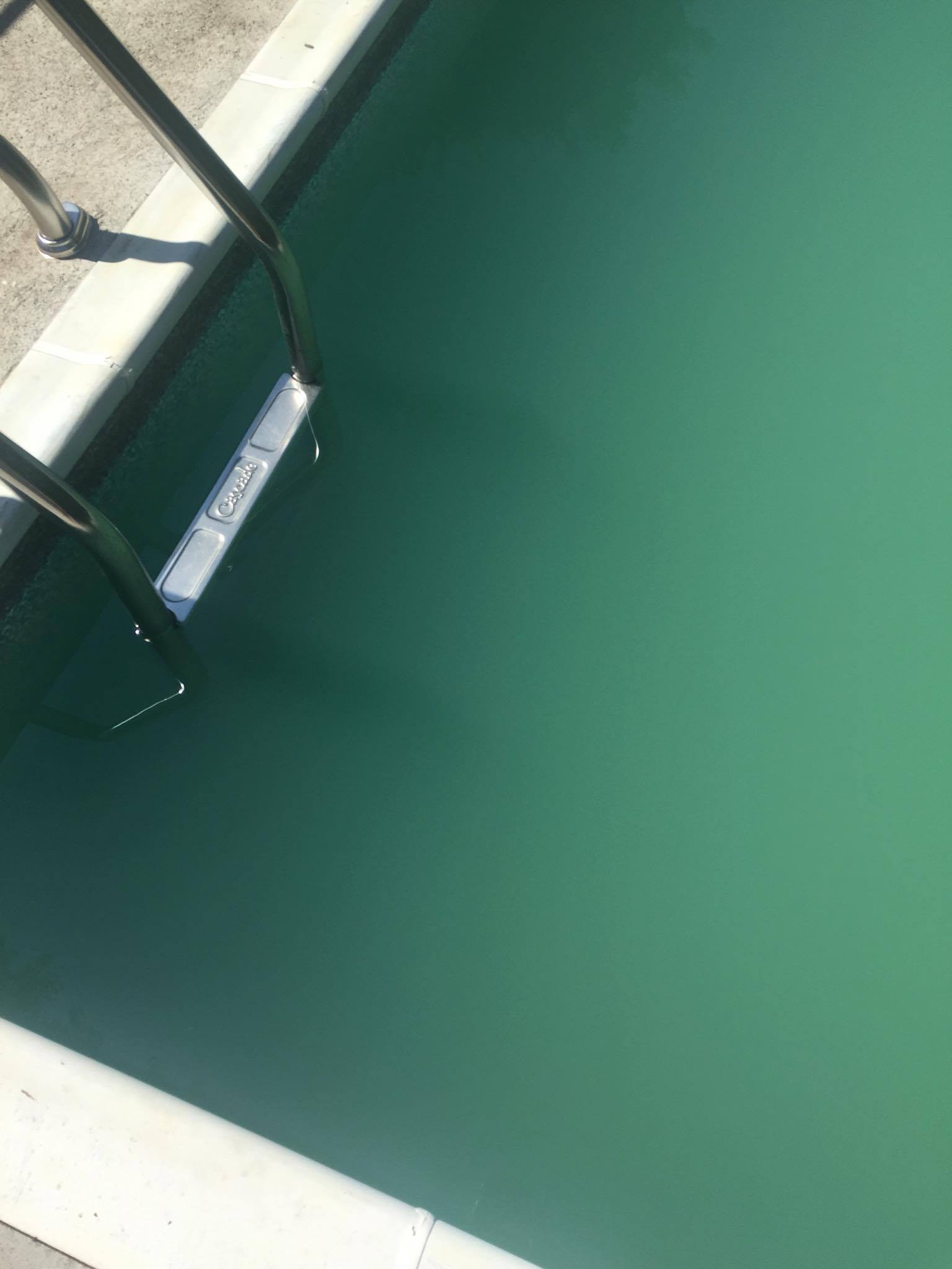 pool water murky green