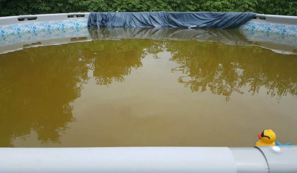 Our Pool Water Is A Dark Brown Color. Can FerriTabs help? – Ask the ...