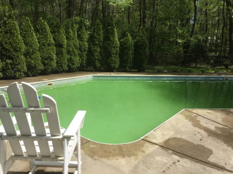 yellow green pool water